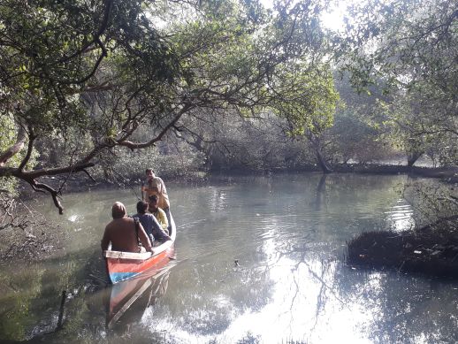 A fishing pond in the Mithi River