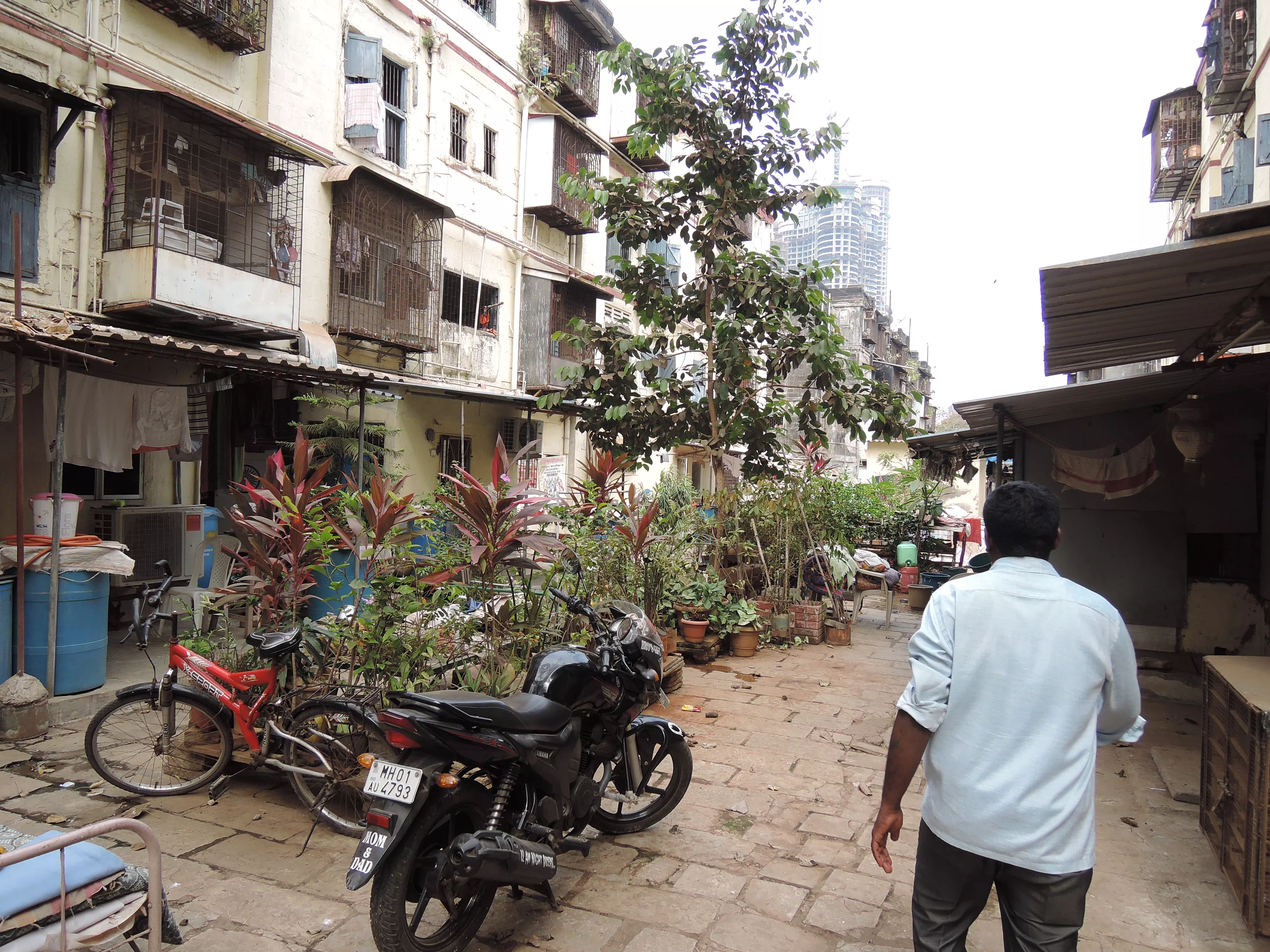 Tenants of BDD Chawls have appropiated the in-between space in all kinds of ways. Here is a garden that can be removed when the space needs to be used for other functions.