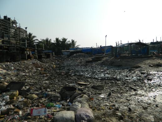 Waste accumulated at Versova Jetty