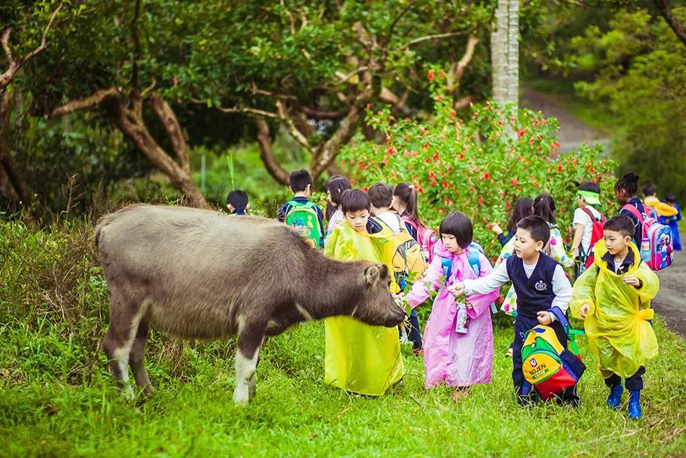 Figures 6: Agritourism in Taiwan (Source: “ReVision Urban Farm” n.d.)