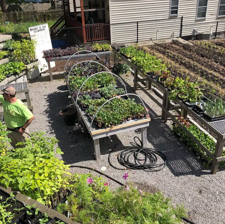 Figure 9: ReVision Urban Farm (Source: Sepa Youth's Facebook Page ( link ))